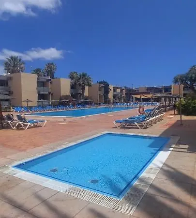 Free Soul Arona (Tenerife)